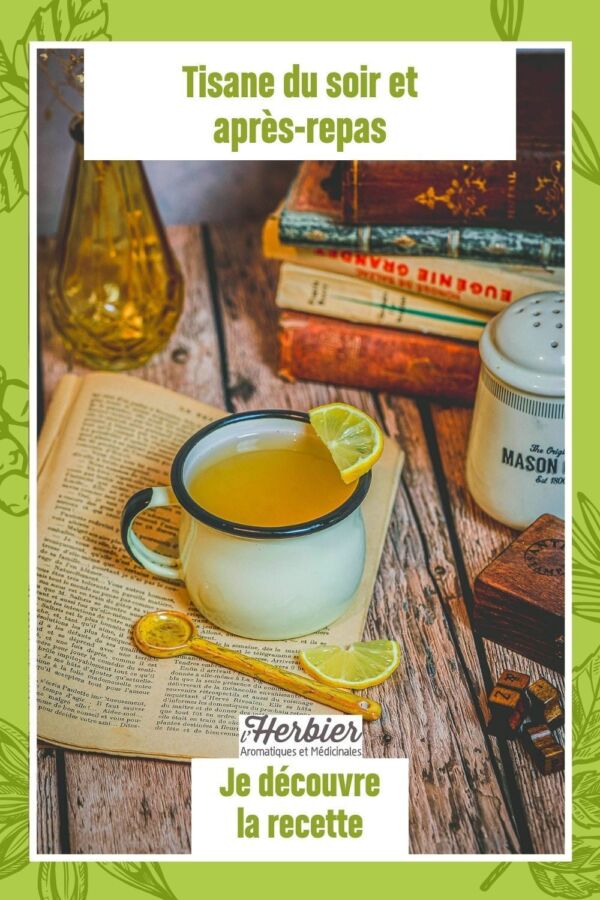 Tisane réconfortante automne