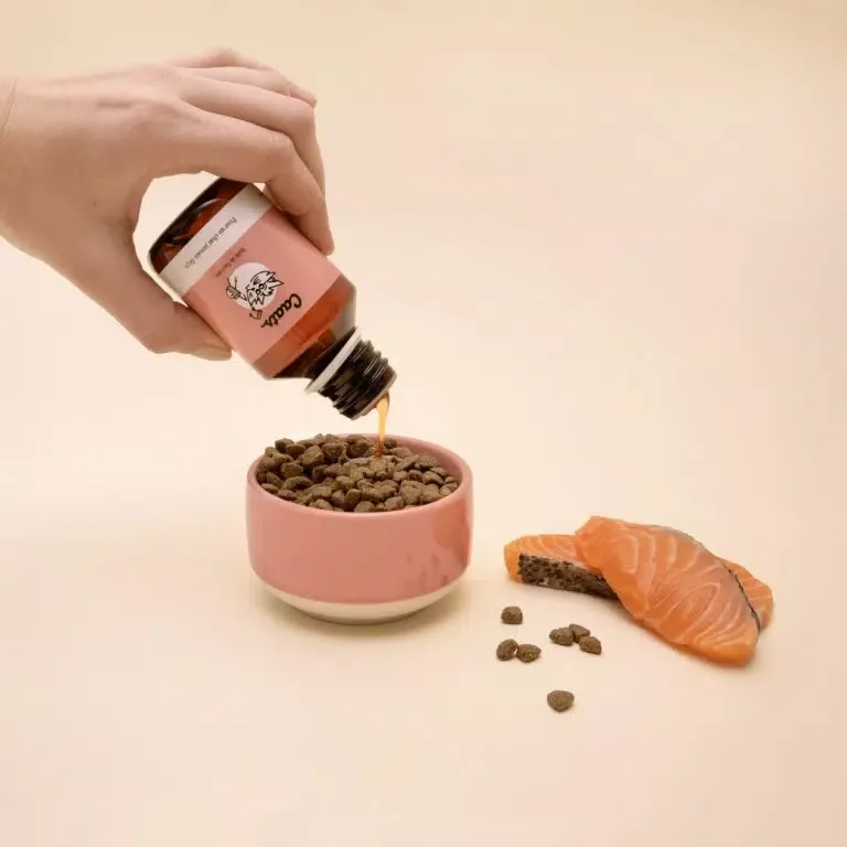 Supplément santé féline