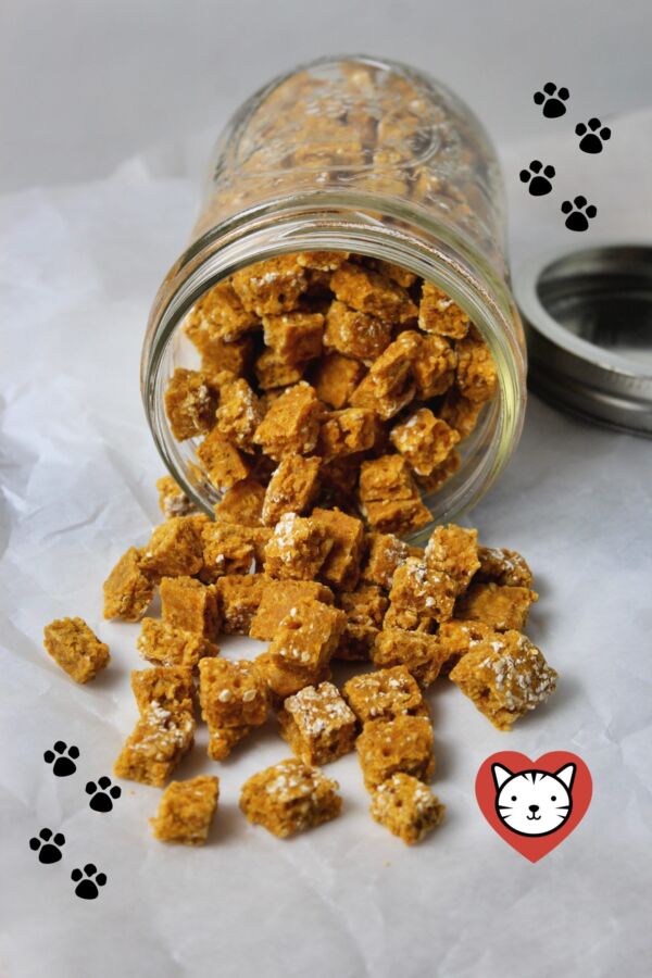 Aliment fortifiant pour chat